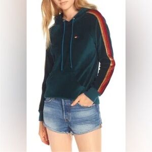 Aviator Nation Classic Velvet Pullover Hoodie Sweatshirt in Soft Forest Green
